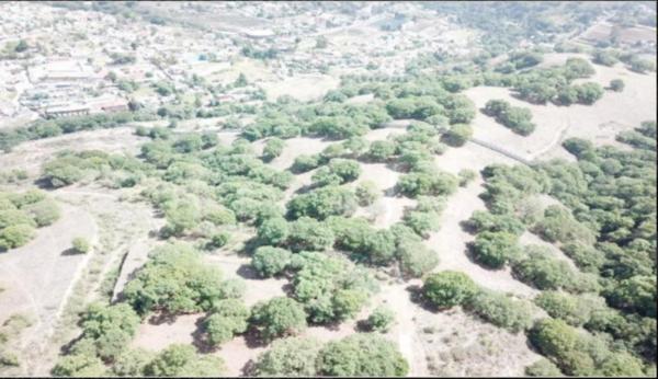 EX HACIENDA DE SAYAVEDRA TERRENO VENTA ATIZAPAN DE ZARAGOZA ESTADO DE MEXICO EX HACIENDA DE SAYAVEDRA TERRENO VENTA ATIZAPAN DE ZARAGOZA ESTADO DE MEXICO