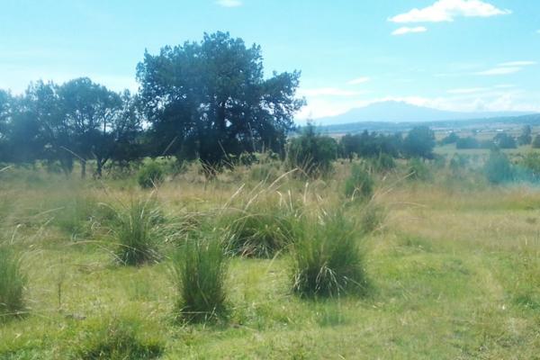 Tlaxcala , La Trasquila, Atlangatepec, Terreno, Venta