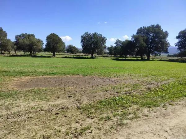 Tetla de la Solidaridad, Terreno Venta, Tlaxcala