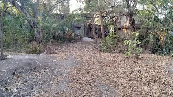 Hidalgo, Ciudad Valles, San Luis Potosi, TERRENO VENTA