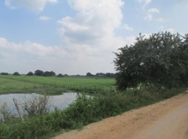 Lote de terreno rústico. Alto Amatitan, Jonutla, Tabasco.