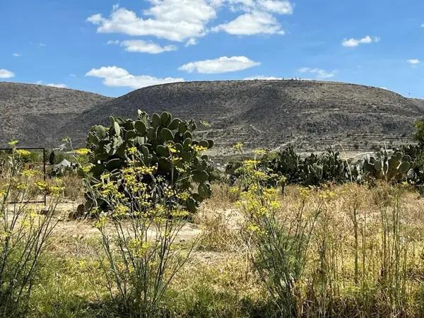 HIDALGO SAN AGUSTIN TLAXIACA TERRENO VENTA