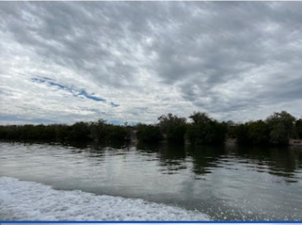 ANGOSTURA TERRENO VENTA SINALOA