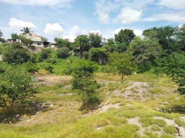 TLATENCHI TERRENO VENTA JOJUTLA MORELOS
