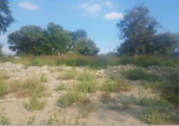CIUDAD VALLES TERRENO VENTA SAN LUIS POTOSI