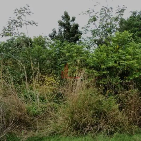 FRACCIONAMIENTO LA SELVA 225 TERRENO VENTA CANCUN QUINTANA ROO FRACCIONAMIENTO LA SELVA 225 TERRENO VENTA CANCUN QUINTANA ROO