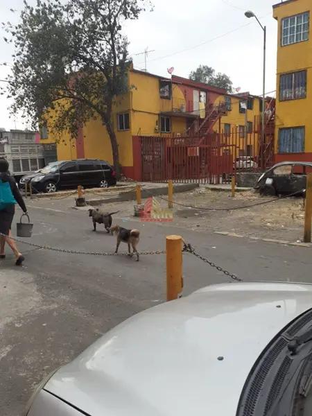 SANTA ANA PONIENTE, DEPARTAMENTO (A) EN VENTA, TLÁHUAC, CDMX.