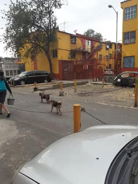 SANTA ANA PONIENTE, DEPARTAMENTO (C) EN VENTA, TLÁHUAC, CDMX.