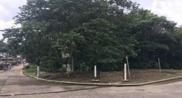 FINCA SANTA FE, TERRENO, VENTA, COATEPEC. VERACRUZ