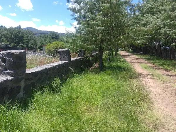Terreno en Venta Rancho San Francisco Huasca