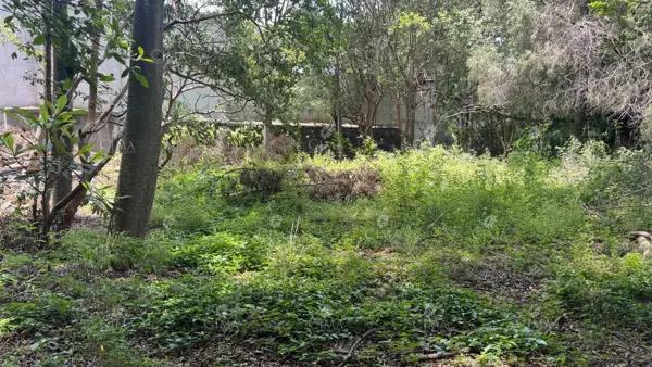 Terreno En Venta En Rancho Cortés - T82 Terreno En Venta En Rancho Cortés - T82