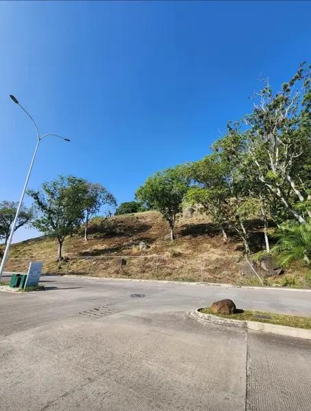 TERRENOS EN VENTA ( Zona Monte Magno, por Fracc. Paseo de la Reyna)
