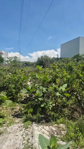 Terreno en venta en Benito Juarez, Emiliano Zapata, Morelos