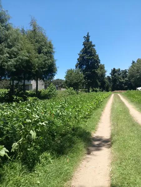Lote con construcción en Tenango Tlaxcala a 15 minutos de Valquirico.