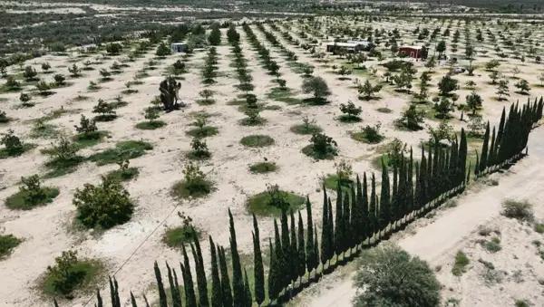 Rancho en venta en Parras