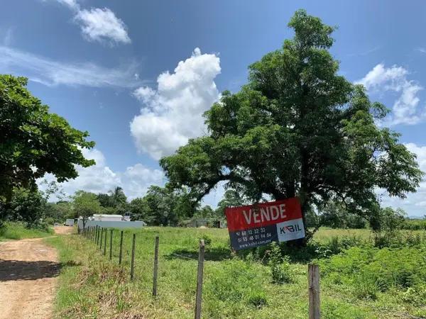 VENTA TERRENO PALENQUE JUNTO A ESTACION DEL TREN MAYA CREDITO BBVA