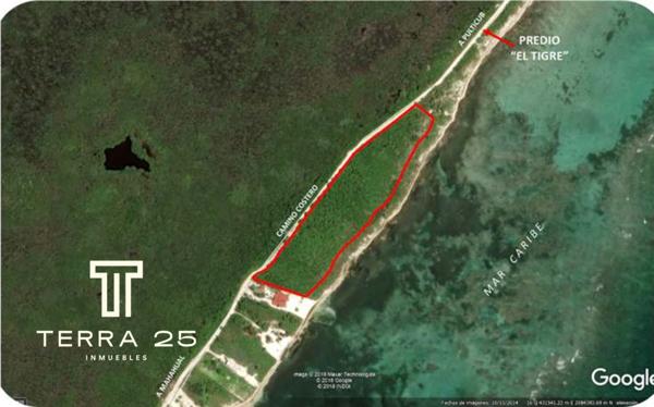 LOTES EXCLUSIVOS EN MAHAHUAL A PIE DE PLAYA