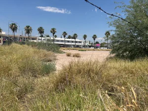 Terreno en renta en Ampliación la Rosita, Torreón, Coahuila de Zaragoza