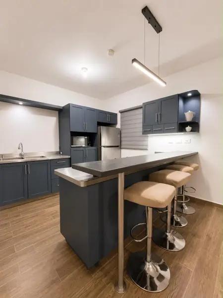 Departamento en renta Santa Fe Living, Guadalupe.