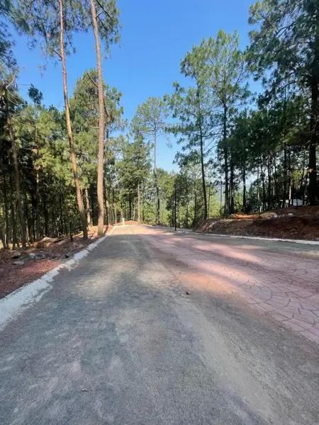 TERRENOS EN VENTA EN MAZAMITLA