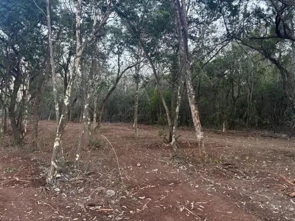 Terreno en venta en Las Tinajas El Ebanal en Santiago