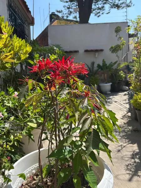 Casa en venta en Lomas Verdes 4a Sección, Naucalpan de Juárez, México