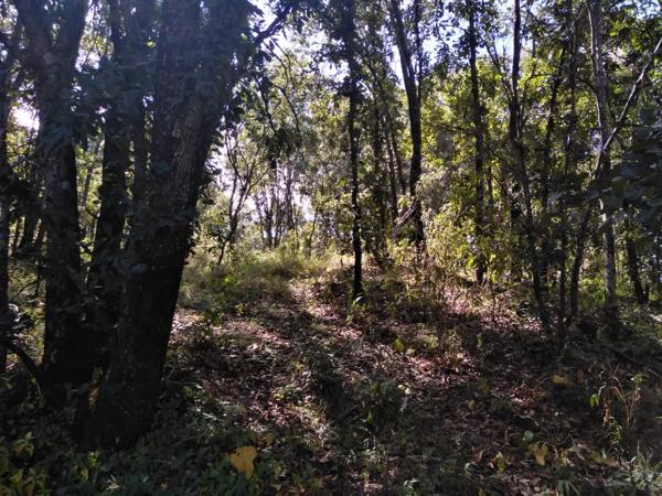 Terreno en Venta Puebla en Haras Campestre 1430 metros