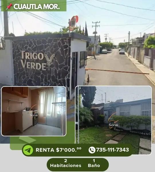 CASA EN RENTA CUAUTLA MORELOS 

FRACCIONAMIENTO  TRIGO VERDE