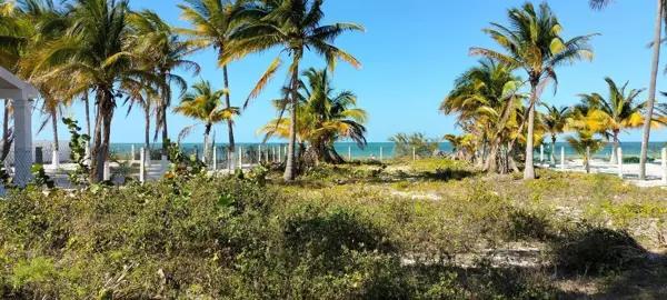 Vive tus veranos frente al mar ???? – Terreno ideal en San Crisanto