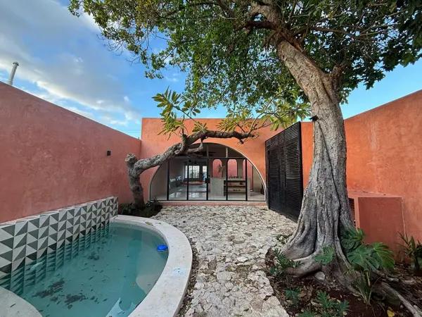 CASA DEL ARBOL