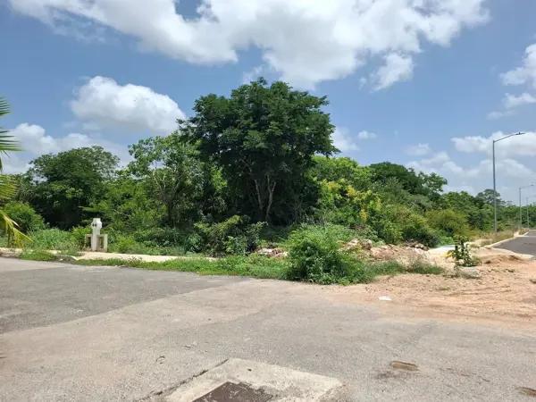 Terreno Residencial en Esquina Venta en Real Montejo