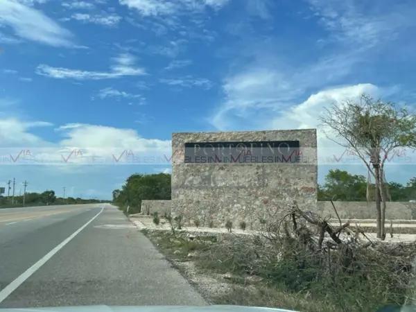 Chicxulub Puerto