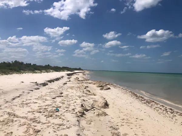 TERRENO FRENTE AL MAR EN SISAL