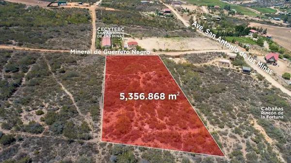 TERRENO EN SAN ANTONIO DE LAS MINAS, VALLE DE GUADALUPE ????