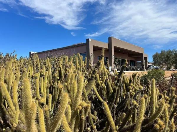 VIVE EN VALLE DE GUADALUPE ???