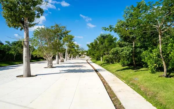 TERRENO EN PRIVADA EN MÉRIDA YUCATÁN EN SANTA GERTRUDIS COPÓ TERRENO EN PRIVADA EN MÉRIDA YUCATÁN EN SANTA GERTRUDIS COPÓ