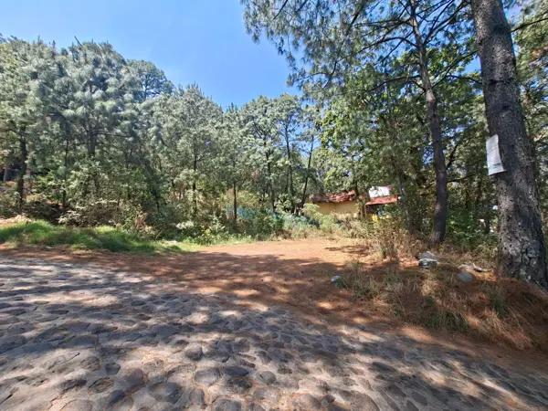 INVERSION SEGURA MAZAMITLA JAL. TERRENO EN VENTA 1068m2 ZONA ARBOLADA EN FRACCIONAMIENTO LA TOSCANA