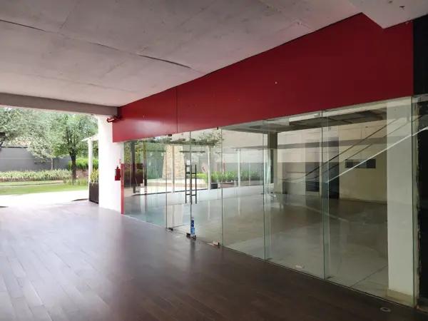 Local Comercial en Renta - SPGG (mtto e iva incluido) Local Comercial en Renta - SPGG (mtto e iva incluido)