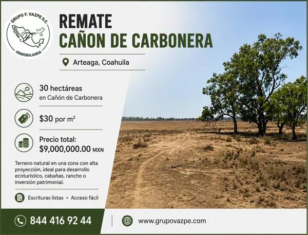 Remate Cañón de Carbonera | 30 Hectáreas | Arteaga, Coahuila