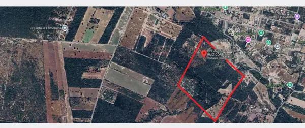 TERRENO USO COMERCIAL INDUSTRIAL ZONA KIA PESQUERIA JUAREZ RENTA TERRENO USO COMERCIAL INDUSTRIAL ZONA KIA PESQUERIA JUAREZ RENTA