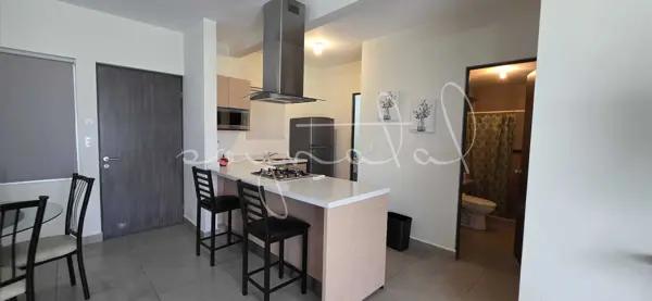 DEPARTAMENTO LIVING SAN NICOLAS RENTA