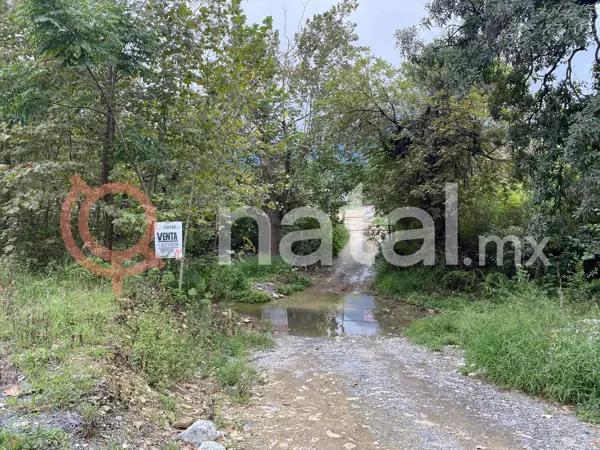 TERRENO EL BARRO CARRETERA NACIONAL SANTIAGO VENTA