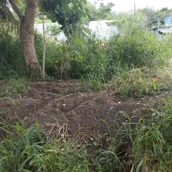 Terreno en venta en la col Vicente Lombardo, Veracruz, Zona Norte