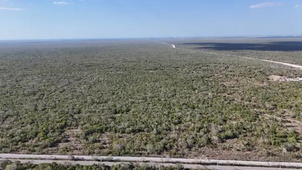 Macrolote para Desarrollar en Sierra Papacal de 1 Hectárea