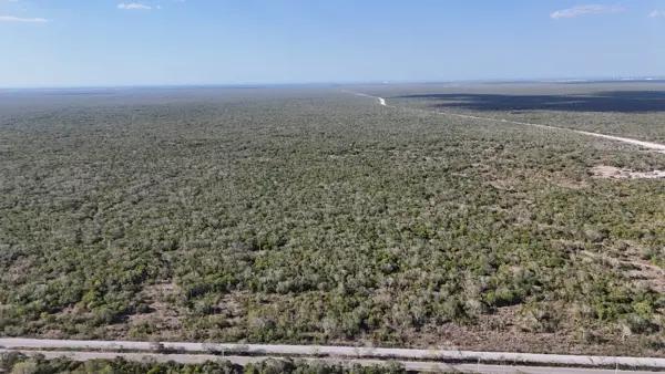MACROLOTE EN VENTA PARA DESARROLLAR EN SIERRA PAPACAL DE 1 HECTÁREA MERIDA YUC MACROLOTE EN VENTA PARA DESARROLLAR EN SIERRA PAPACAL DE 1 HECTÁREA MERIDA YUC