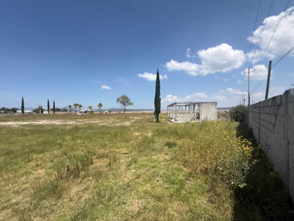 TERRENO EN RENTA