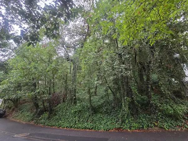Terreno residencial en venta en Bosques de San Ángel zona Palmillas en San Pedro Garza García