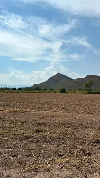 PARCELA EN VENTA, EJIDO SEIS DE ENERO, LERDO