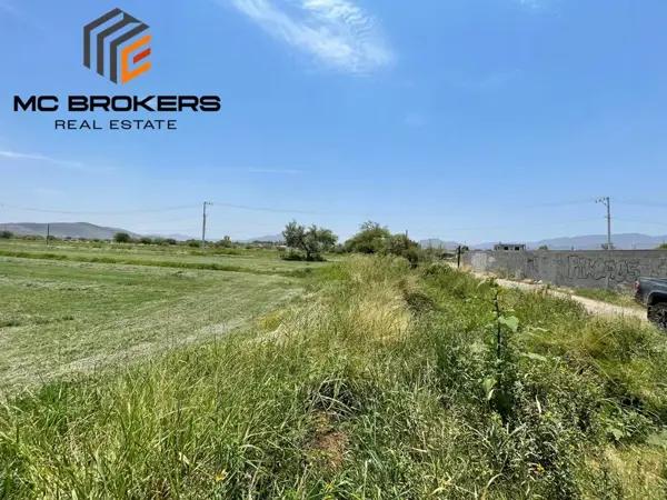 TERRENO EN VENTA SEIS DE ENERO, LERDO