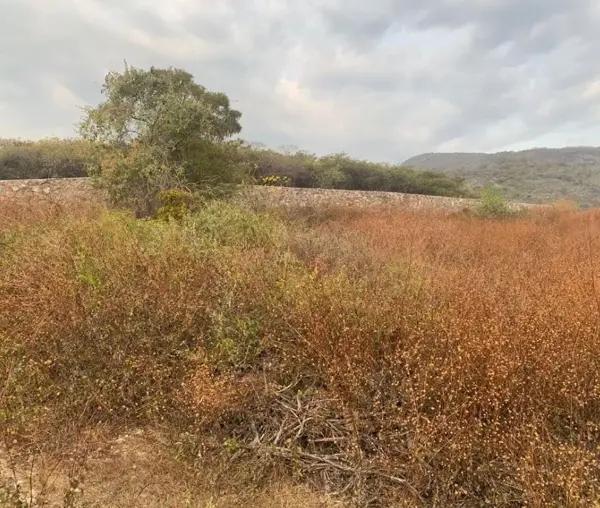 Terreno en venta en Tepetzingo, Emiliano Zapata, Morelos